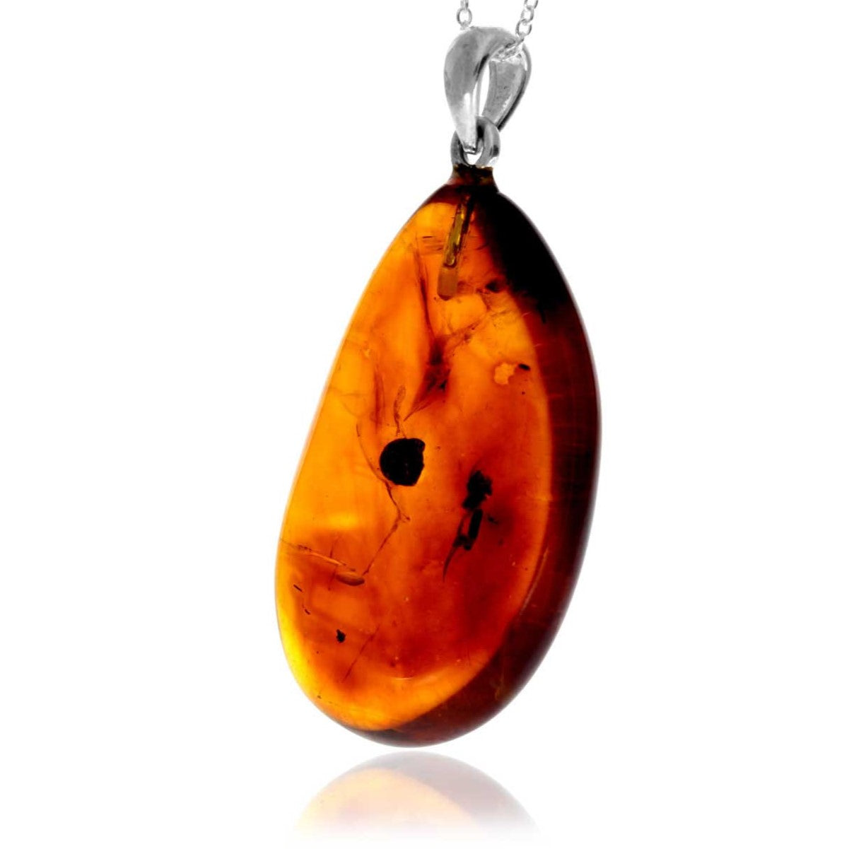 ee3849ba0f2f1a68e7dc67993bcac538