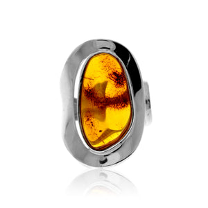 7505e5a49b50aa94731b4bf99d736161