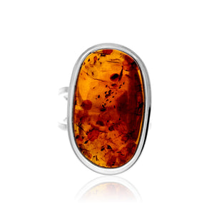 a5b6bed2c2c6505d0b0bf5b5d7885920