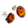 925 Sterling Silver & Baltic Amber Large Oval Classic Studs Earrings - M645