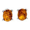 925 Sterling Silver & Baltic Amber Classic Oval Stud Earrings - GL028