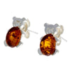 925 Sterling Silver & Amber Tiny Bears Studs - 8482
