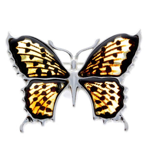 925 Sterling Silver & Baltic Amber Exclusive Large Butterfly Brooch - AD800