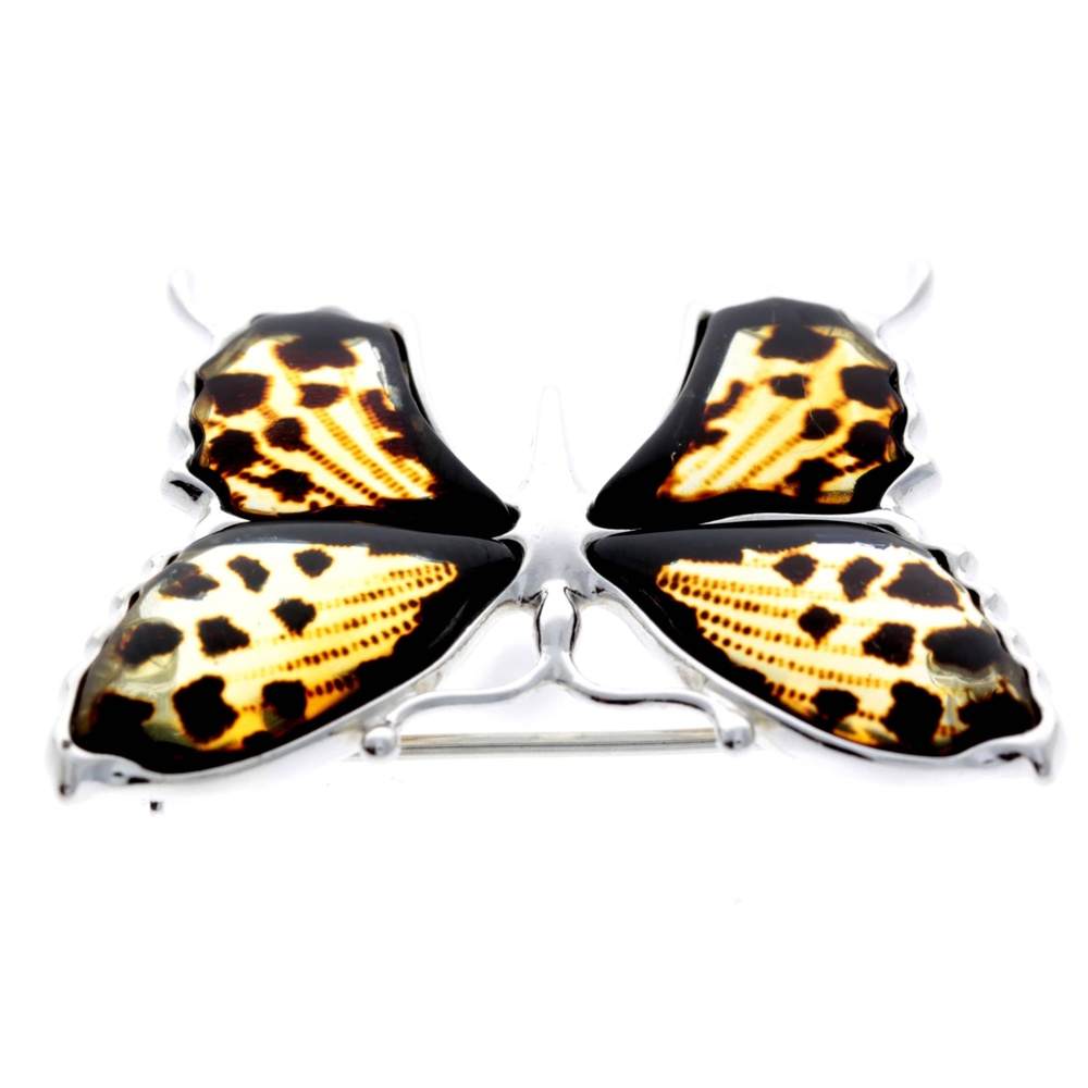 925 Sterling Silver & Baltic Amber Exclusive Large Butterfly Brooch - AD800