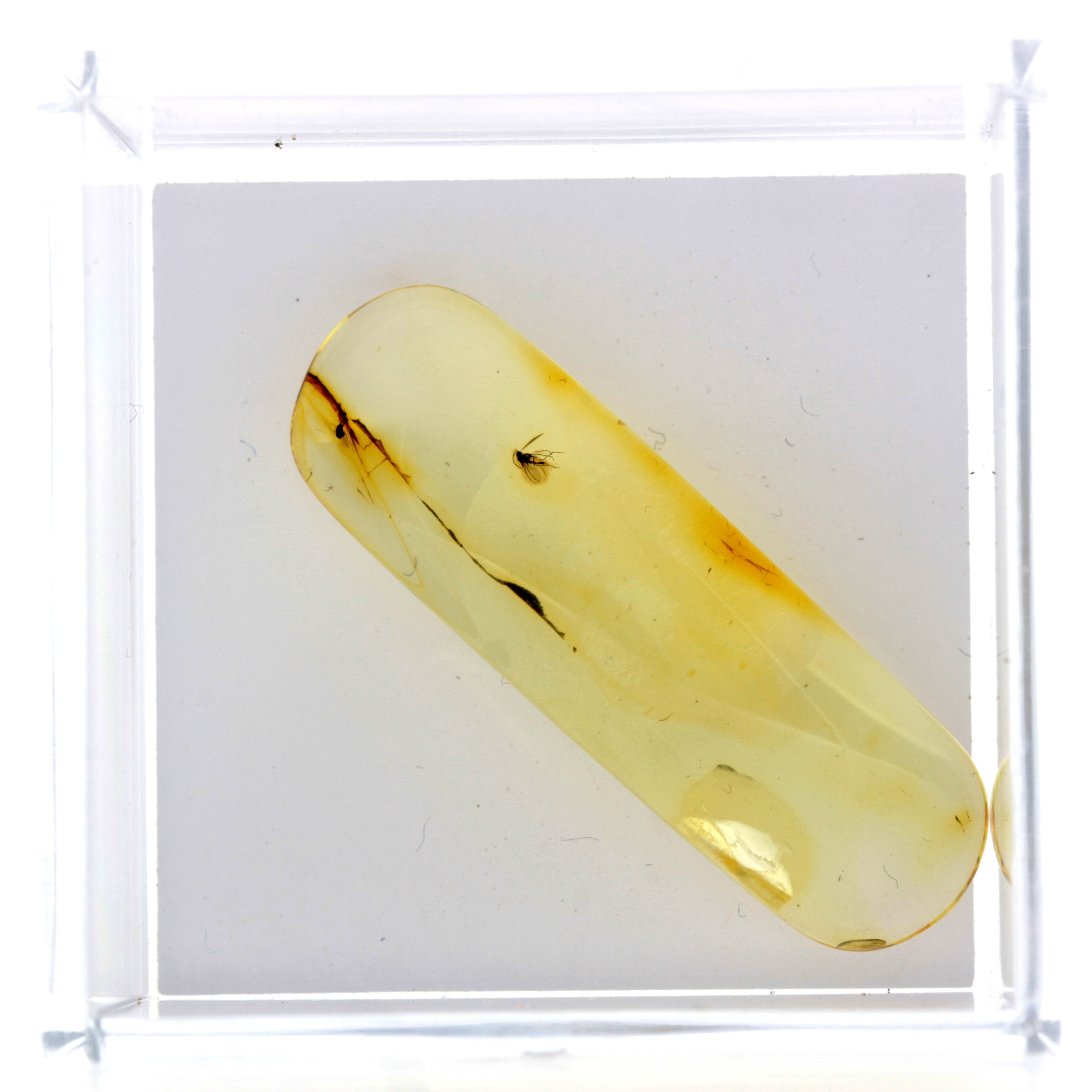 2de1e2c31061793a194022ae90f43c26