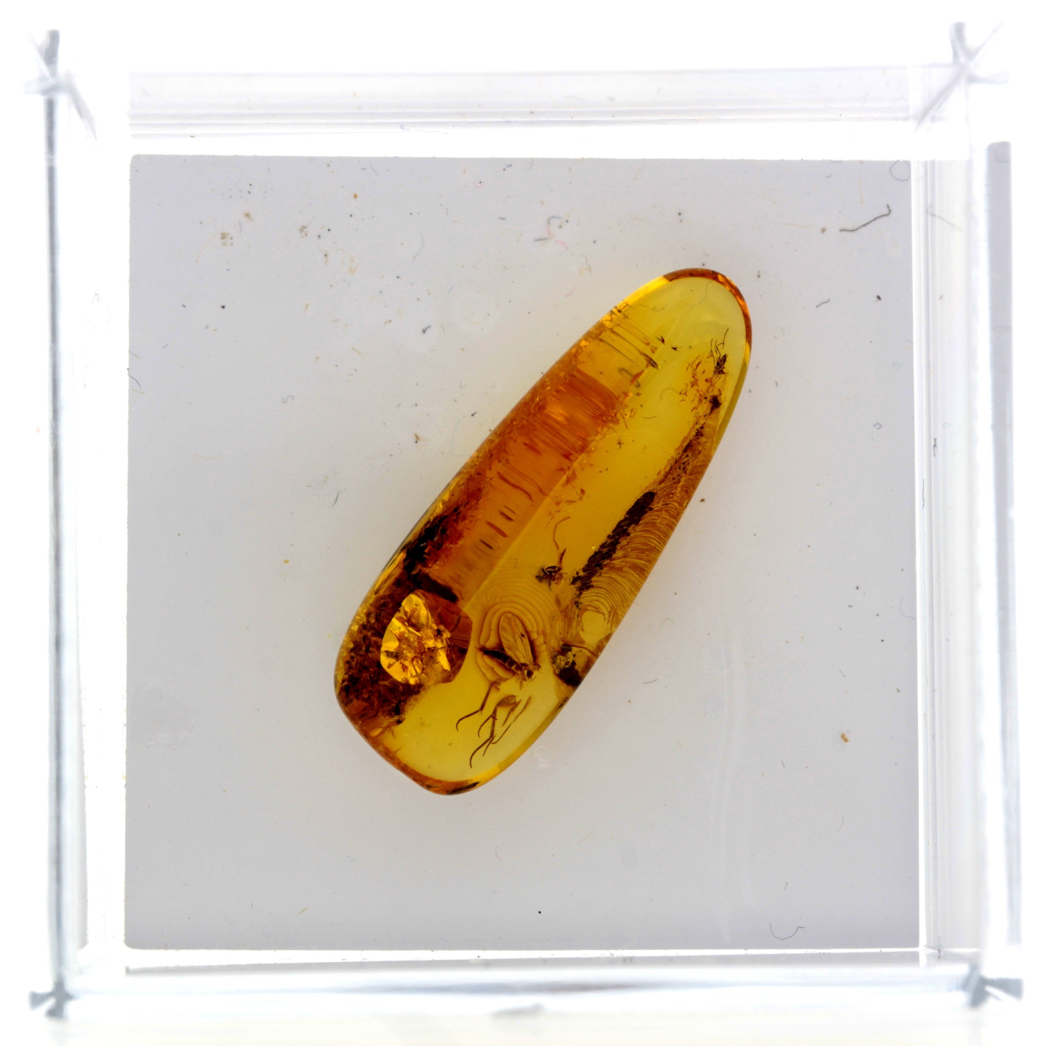 3ff0f80b5585ad8b266fb8f26032cc1a