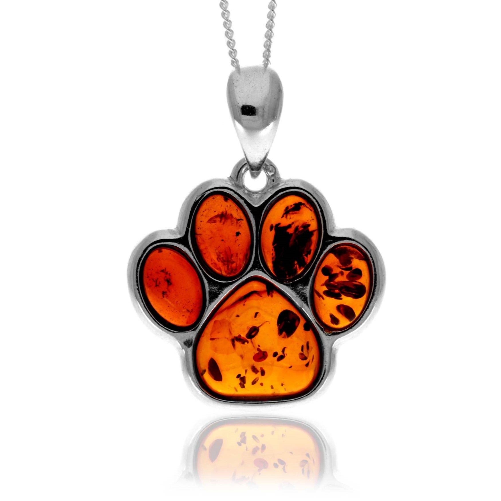 54fee76d05696ee491672a1f86f4784b