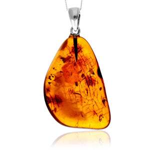 ff288cb5200cd7eb3e03f7d71ddfeafd