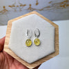925 Sterling Silver & Genuine Baltic Amber Classic Drop Dangling Earrings - 8560