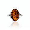 925 Sterling Silver & Genuine Baltic Amber Classic Ring - 7603