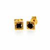 Gold Plated over 925 Sterling Silver & Genuine Baltic Amber Contemporary Square Small Studs Earrings - AEG24