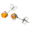 925 Sterling Silver & Baltic Amber Ball Earrings - 5966