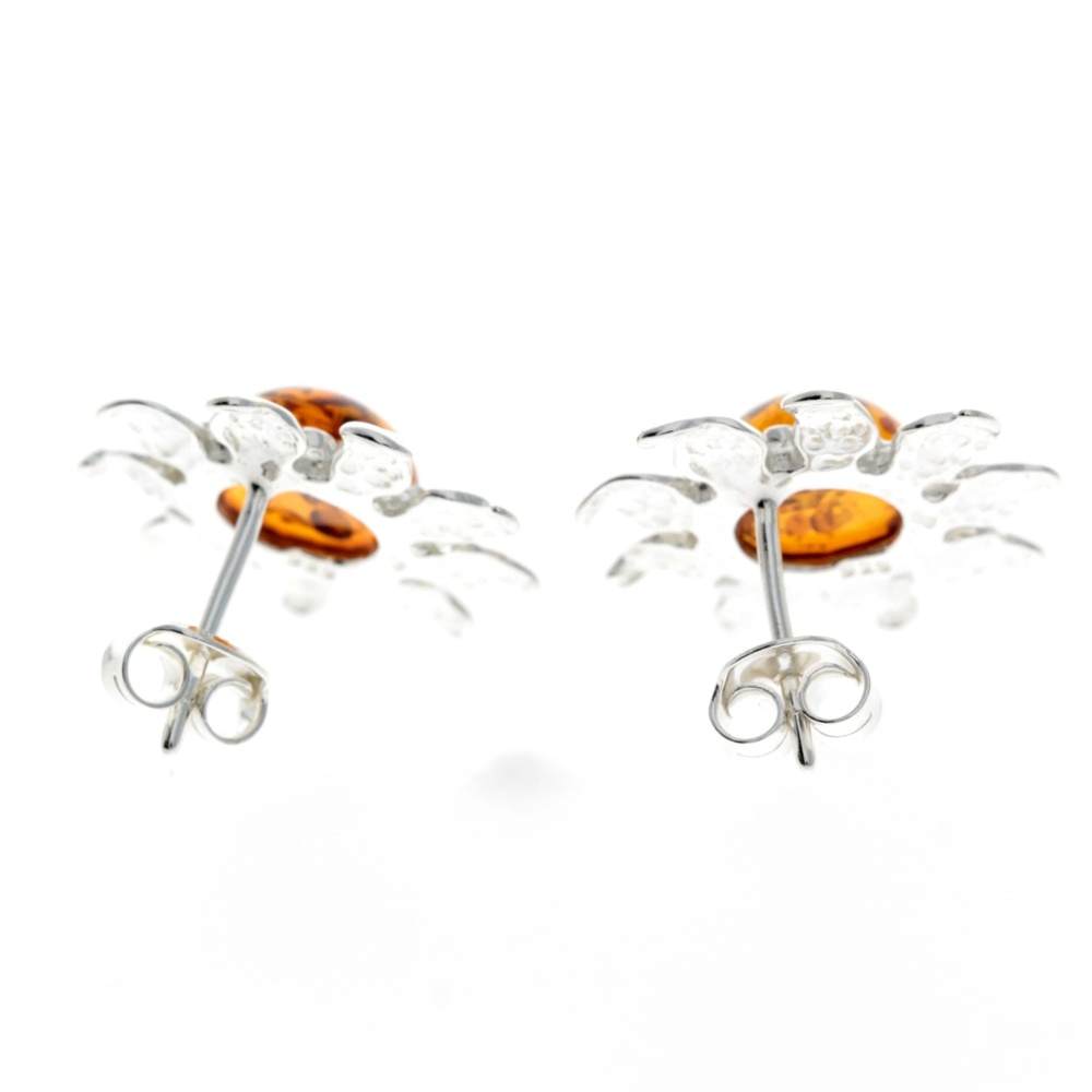 925 Sterling Silver & Baltic Amber Sun / Star Earrings - GL177