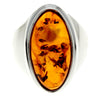 925 Sterling Silver & Baltic Amber Classic Designer Ring - 7045