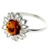 925 Sterling Silver & Baltic Amber Modern Sun Flower Designer Ring - GL734