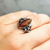 925 Sterling Silver & Baltic Amber Classic Designer Ring - 7010