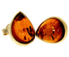Load image into Gallery viewer, Genuine Baltic Amber and 9ct Gold Studs Classic Teardrop Earrings - GE006