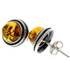 Load image into Gallery viewer, 925 Sterling Silver &amp; Genuine Baltic Amber Classic Studs Earrings - GL185