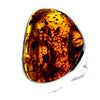 925 Sterling Silver & Genuine Cognac Baltic Amber Unique Exclusive Adjustable Ring - RG0748